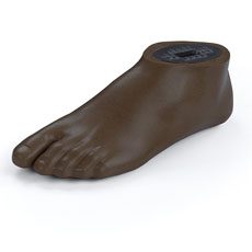 Foot SACH 2.0 Adult - Size 28, Left, Terra